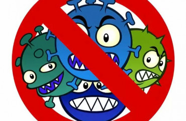 Определение гриппа А и гриппа B